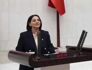 AK Partili vekil Şengül Karslı’dan muhalefete sert tepki: Ayıp arayan kendi geçmişine baksın