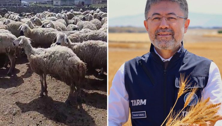 Bakan Yumaklı’nın "Örnek üretici" dediği çiftçi video çekip yardım istedi