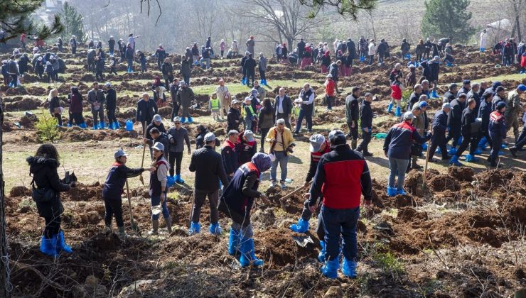 Bolu’dan kısa kısa