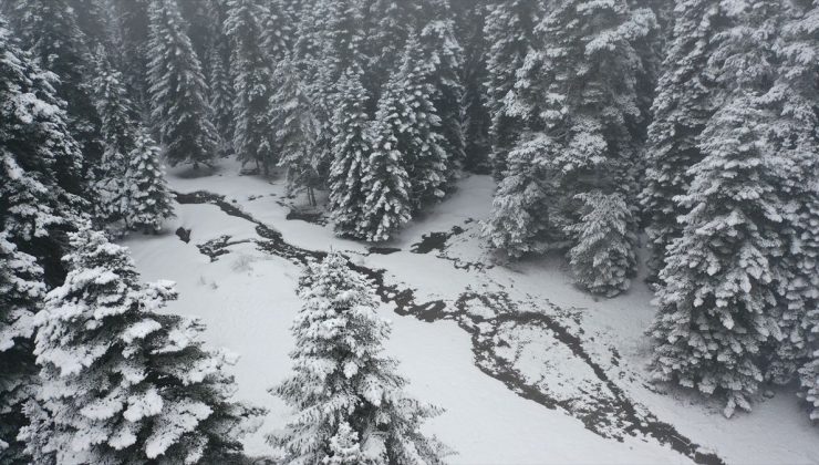 Bolu’nun yüksek kesimlerinde kar yağışı etkisini sürdürüyor