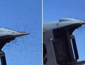 İsrail’de "Sarı alarm": Tarihin en büyük arı istilası askeri uçuşları durdurdu