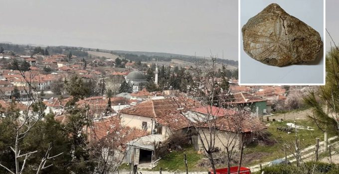 Köyünde yürüyüş yaparken buldu! Milyonlarca yıllık