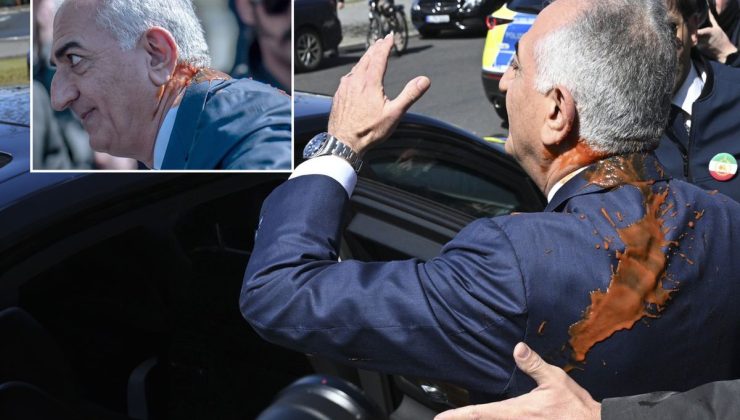 Rıza Pehlevi’ye saldırı! Koşarak kaçtı