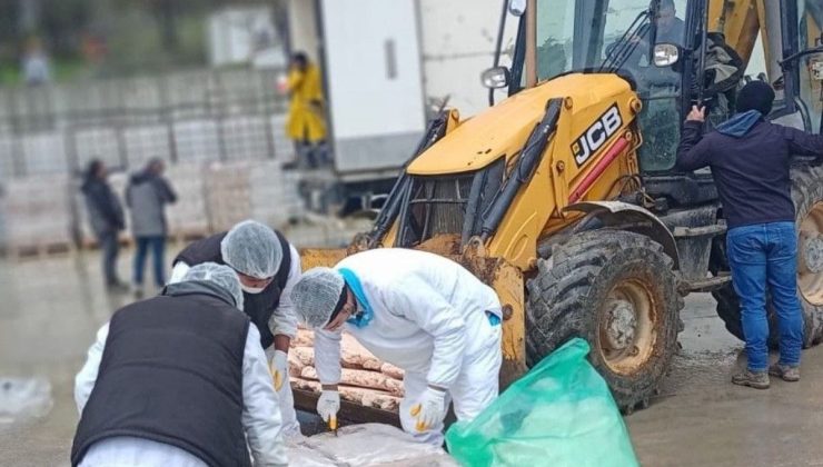 Sakarya’da 32 ton son tüketim tarihi geçmiş tavuk eti ele geçirildi