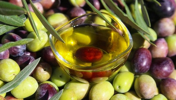 Türkiye’nin 40 yıllık zeytin firması konkordato ilan etti