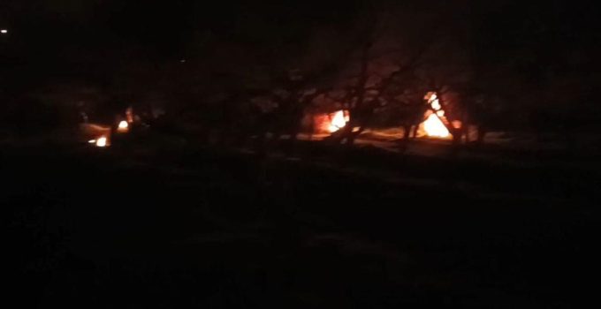 Zirai don riski nedeniyle ateş yakıp, ürünlerini korumaya çalıştılar