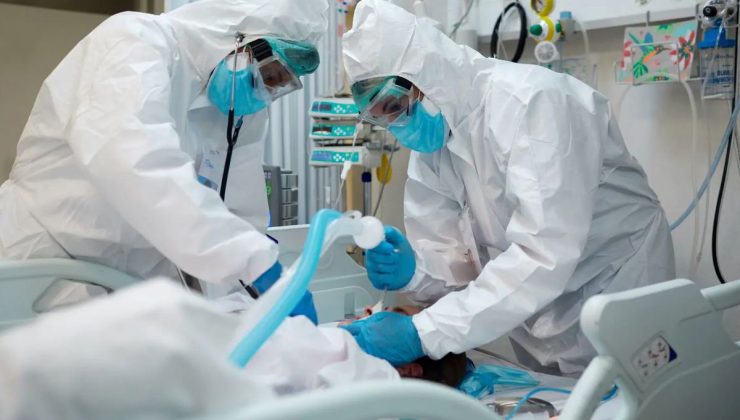 Hantavirüs paniği Avrupa’ya sıçradı! Kabin memuru karantinada