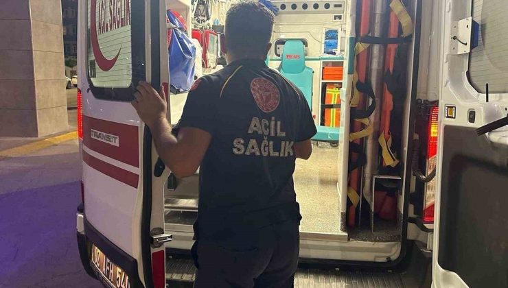 Adıyaman’da Arı Sokması: Bir Kişi Yoğun Bakımda