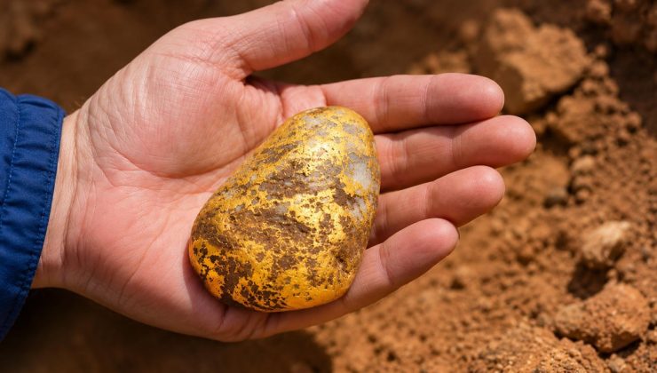 10 santimlik kazı hayatını değiştirdi! Toprağın altından servet çıktı
