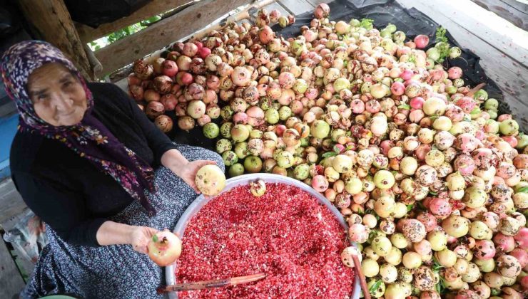 Adana Kozan’da 80 yaşındaki Yeter Yiğenoğlu, 1,5 ton narı nar ekşisine dönüştürüyor