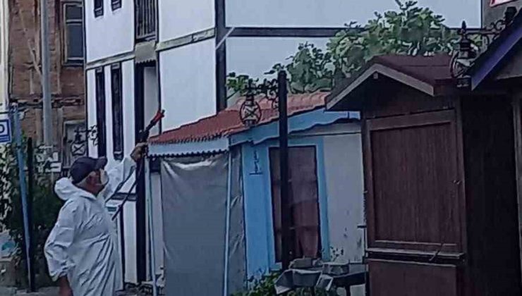 Akçakoca’da Muhtar Hasan Aydın, kahverengi kokarcaya karşı tulum giyip ilaçlama yaptı