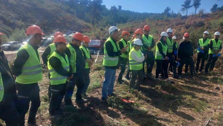 Akhisar’da orman personeline silvikültür ve ağaçlandırma eğitimi başladı