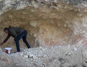 Amasya’da pekmez için dağları oyan köylüler kadın erkek birlikte üretiyor