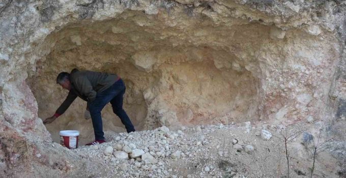 Amasya’da pekmez için dağları oyan köylüler kadın erkek birlikte üretiyor