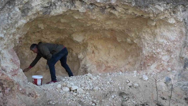 Amasya’da pekmez için dağları oyan köylüler kadın erkek birlikte üretiyor