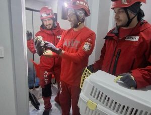 Antalya Döşemealtı’nda havalandırmada mahsur kalan baykuş AKUT ekibince kurtarıldı
