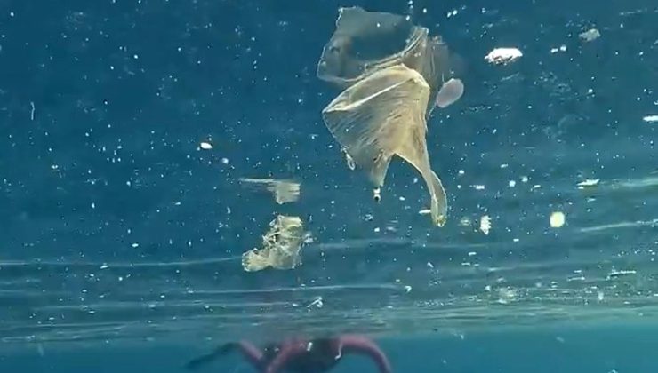 Antalya Kaş’ta Halk Plajı’nda yüzenlerin çevresindeki plastik atıklar dikkat çekti