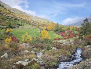 Artvin Yusufeli’deki Bıçakçılar köyü sonbaharda renk cümbüşüne büründü