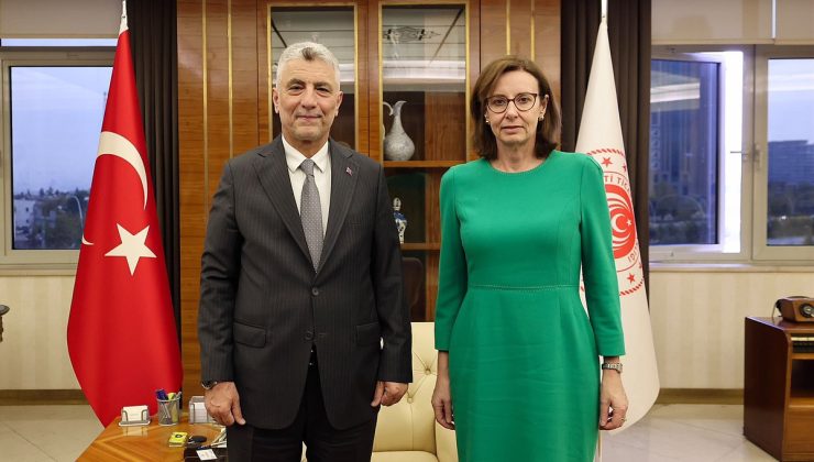 Bakan Bolat, Birleşik Krallık Büyükelçisi Anderson ile STA kapsamını görüştü