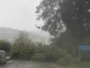 Bartın Kurucaşile’de kuvvetli rüzgar çok sayıda ağacı devirdi ve yolu kapattı