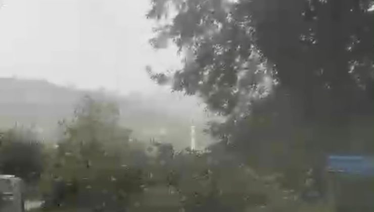 Bartın Kurucaşile’de kuvvetli rüzgar çok sayıda ağacı devirdi ve yolu kapattı