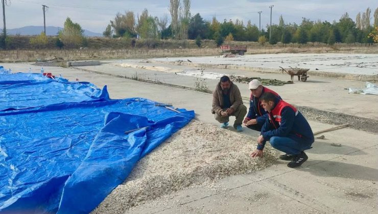 Çay İlçe Tarım ve Orman personeli kabak çekirdeği ve elma üreticilerini ziyaret etti
