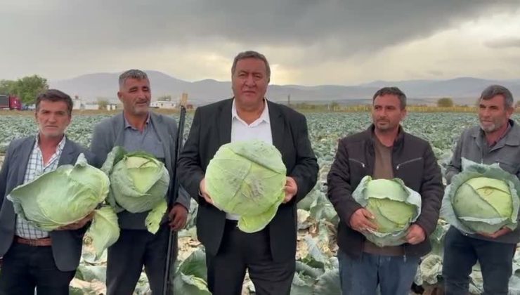 CHP’li Gürer, Niğde’de lahananın 30-35 liraya alıcı bulmakta zorlandığını söyledi