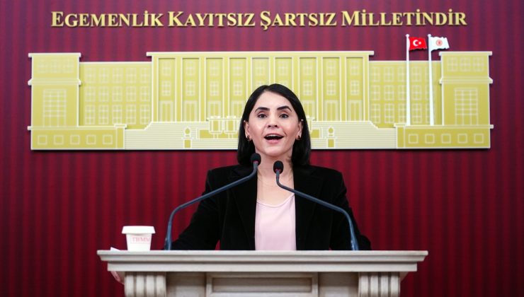 DEM Parti vekilleri Meclis’te pancara yüzde 20 zammı ve eğitim masraflarını eleştirdi