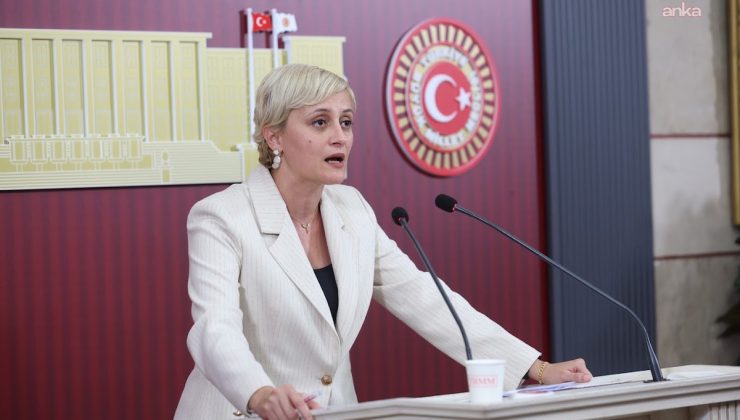 DEM’li Koca, 125 kişinin öldüğü İskenderun Devlet Hastanesi için soru önergesi verdi