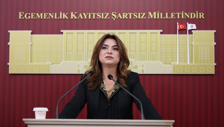 DEM’li Koçyiğit, 2027 bütçesinde her 100 liranın 17 lirasının faize gittiğini söyledi