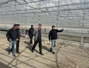 Diyadin Kaymakamı Korkusuz, jeotermal sera OSB’de çalışmaları yerinde inceledi