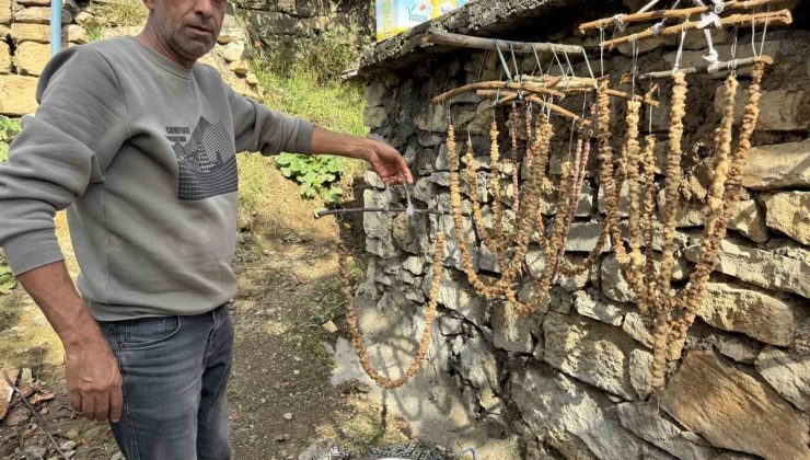 Diyarbakır’ın Çermik ilçesinde bağ bozumu başladı, üzümler pestile dönüşüyor