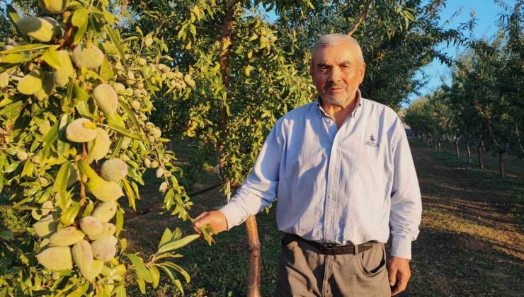Doktorun bahçe işleri önerisiyle Yozgat’a dönen 71 yaşındaki Hasan Sidal üretici oldu