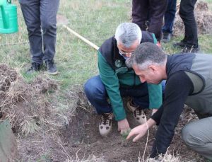DSİ 24. Bölge Müdürlüğü ile Erzurum Orman Bölge Müdürlüğü fidan dikimine başladı