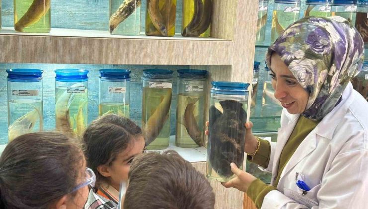 Elazığ’da ilkokul öğrencileri Balık Müzesi ve Akvaryum Ünitesini ziyaret etti
