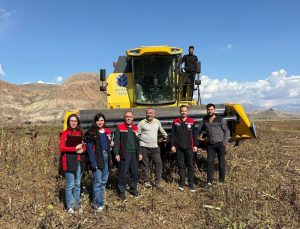 Erzincan Çayırlı’da ayçiçeği hasadında biçerdöver denetimi sürüyor