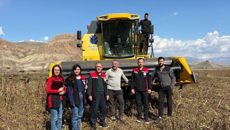Erzincan Çayırlı’da ayçiçeği hasadında biçerdöver denetimi sürüyor