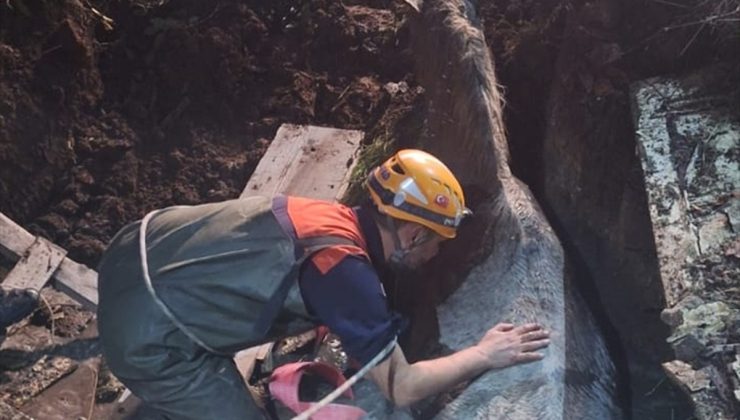 Eskişehir’de foseptik çukuruna düşen at, bacağı yaralı kurtarılıp barınağa götürüldü