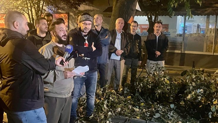 Eyüpsultan’da 5 ağacın kesildiği iddiasına semt sakinleri tepki gösterdi