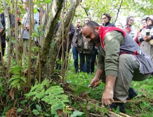 Giresun Keşap’ta fındık üreticilerine uygulamalı budama eğitimi verildi
