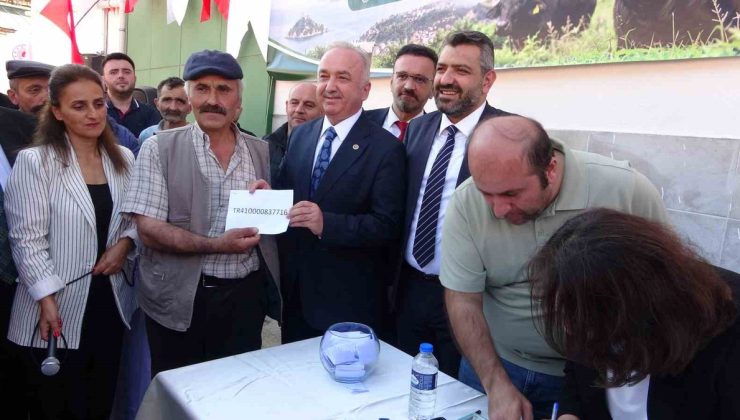 Giresun’da düzenlenen törenle 25 yetiştiriciye damızlık manda boğası dağıtıldı