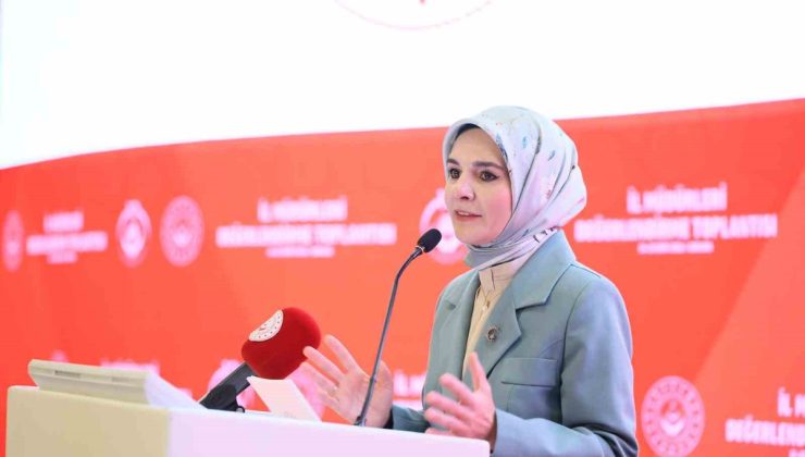 Göktaş, yüksek riskli hane ziyaretlerinin yüzde 69,94’ünü tamamladıklarını açıkladı