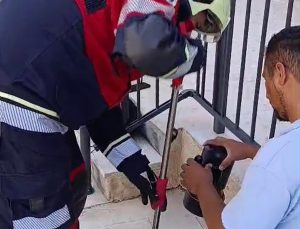 Hatay Reyhanlı’da havalandırma borusuna düşen yavru kediyi itfaiye ekipleri kurtardı