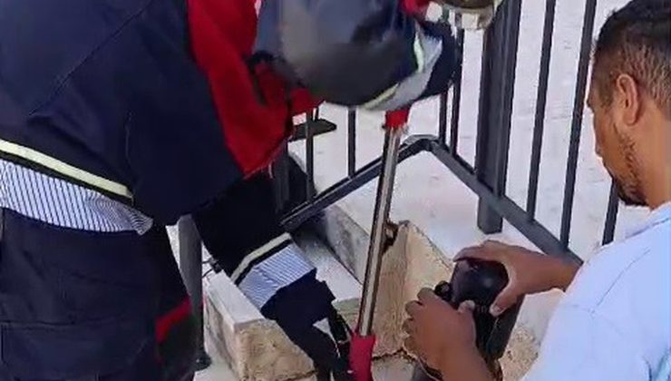 Hatay Reyhanlı’da havalandırma borusuna düşen yavru kediyi itfaiye ekipleri kurtardı