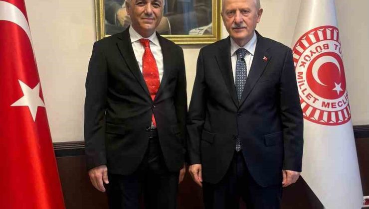 HEKİMSEN TBMM’de hekimlerin haklarını ve Hekimlik Meslek Kanunu’nu görüştü