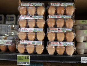 Hong Kong, H5N1 nedeniyle Kanada ve ABD’nin bazı bölgelerinden kanatlı ithalatı kesti