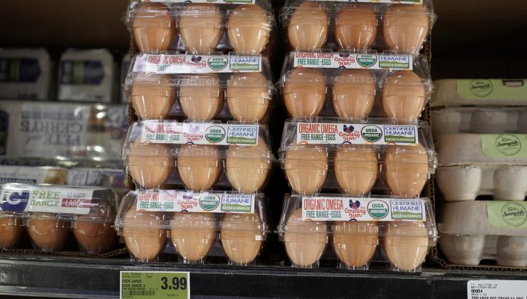 Hong Kong, H5N1 nedeniyle Kanada ve ABD’nin bazı bölgelerinden kanatlı ithalatı kesti