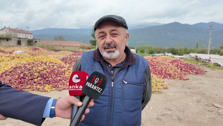 Isparta’da meyve suyu elması 12 liradan 3 liraya düştü, üreticiler tepki gösterdi