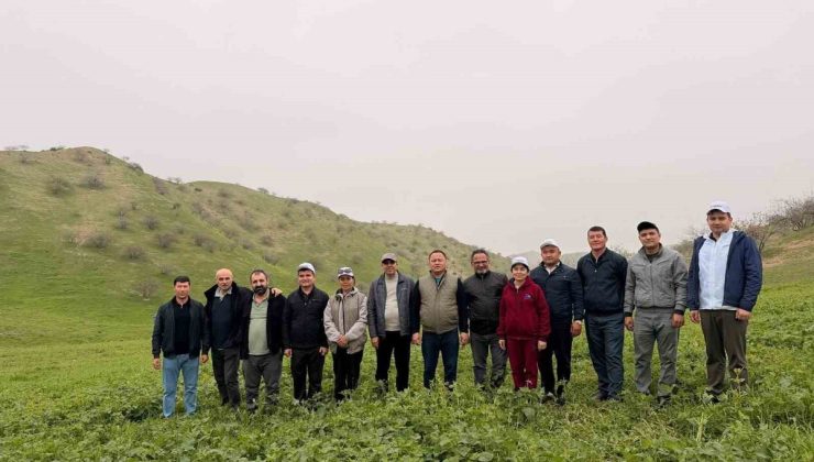 KBÜ’lü akademisyenler TÜBİTAK destekli Antep fıstığı projesinde görev alacak