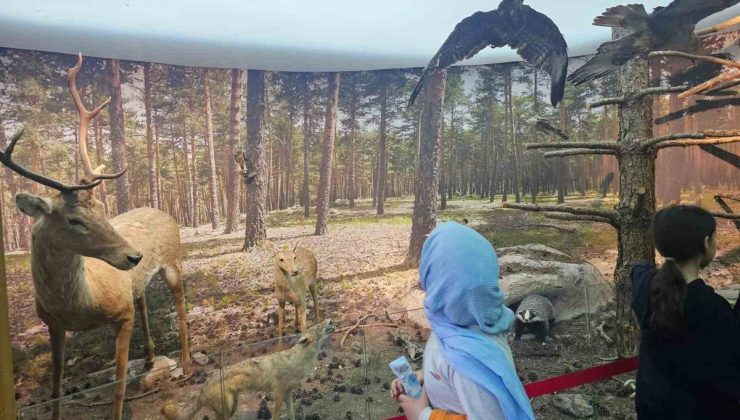 Kütahya’da 70 öğrenci Çamlıca Tabiat Parkı’nda doğayı uygulamalı etkinliklerle tanıdı